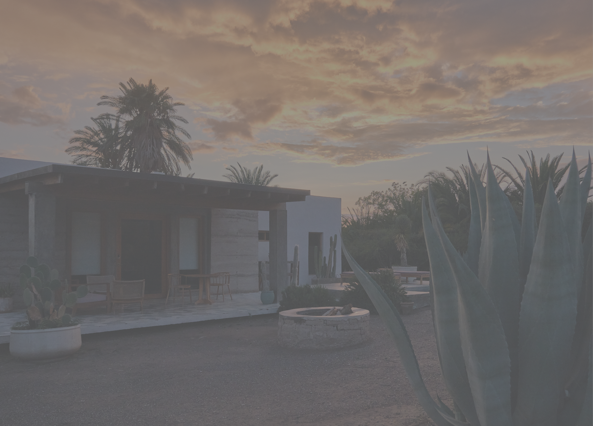 Atardecer en los viñedos de Las Pudencianas, destino turístico en Parras de la Fuente